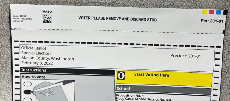 Mason County's ballot stub with a perforated tab along the top that says "Voter please remove and discard stub"