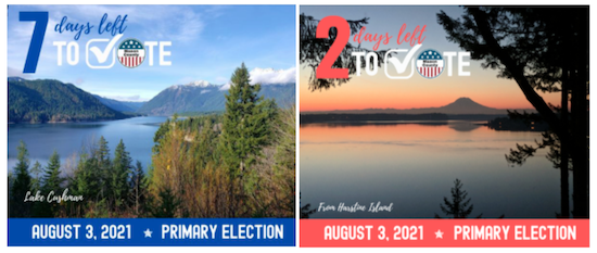 two images with mountains and bodies of water advertising the 2021 primary election