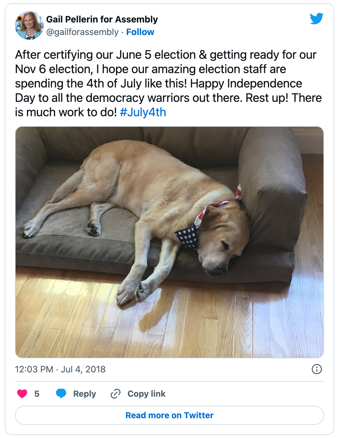 A tweet with a picture of a dog wearing an American Flag bandana sleeping. The tweet reads, "I hope our amazing election staff are spending the 4th of July like this!"